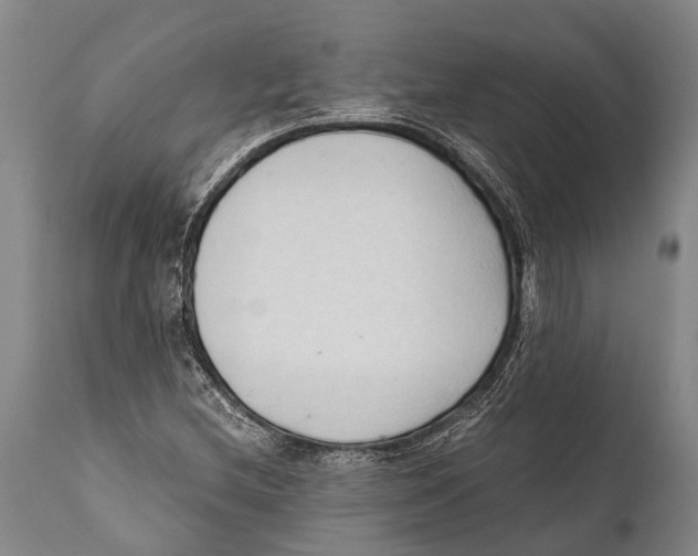 X0000111951212200908241156