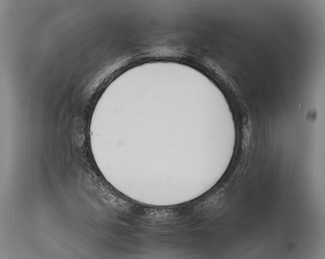 X0000111951213200908241156
