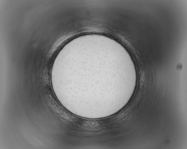 X0000111951215200908241156