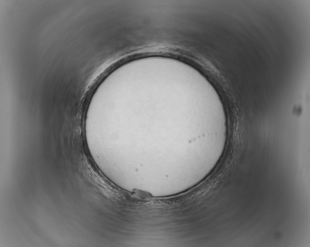 X0000111951216200908241156