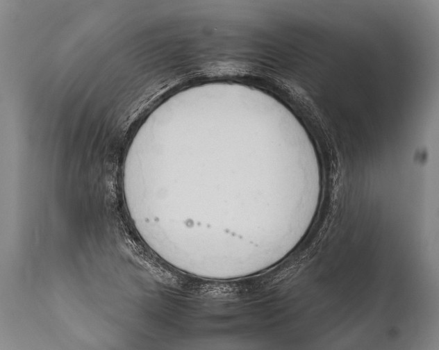 X0000111951217200908241156
