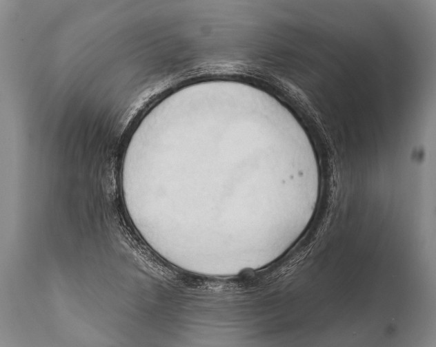 X0000111951218200908241156