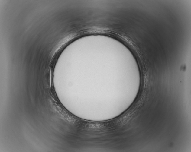 X0000111951219200908241156