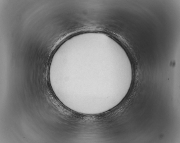 X0000111951220200908241156