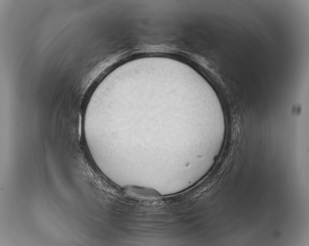 X0000111951221200908241156