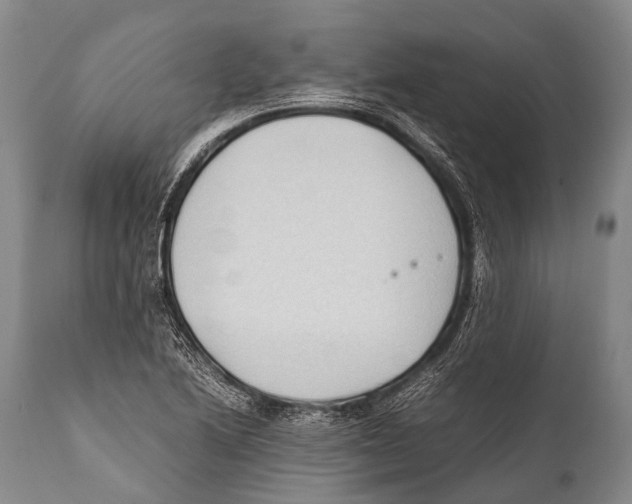 X0000111951222200908241156