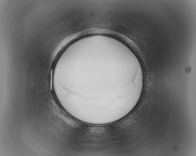 X0000111951223200908241156