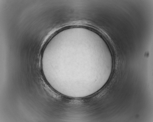 X0000111951224200908241156