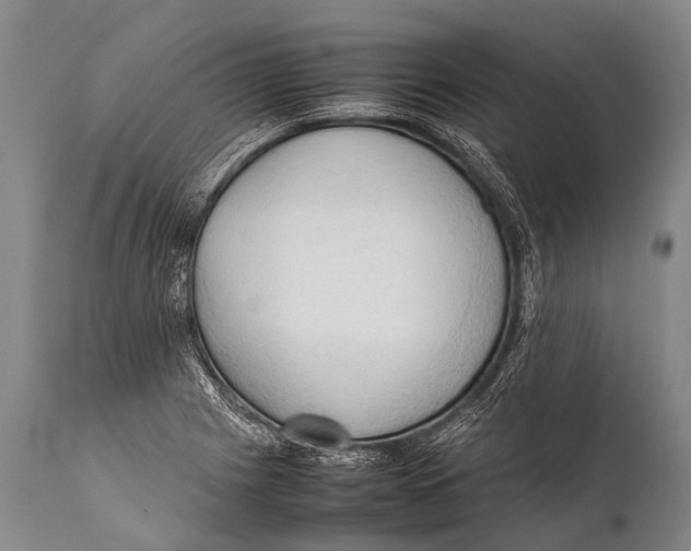 X0000111951225200908241156