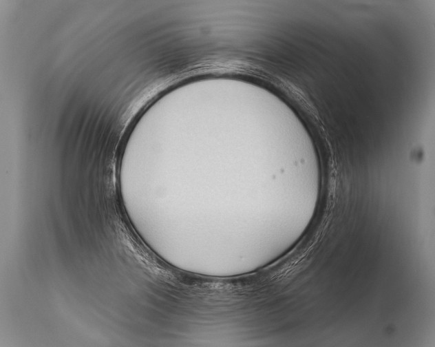 X0000111951226200908241156