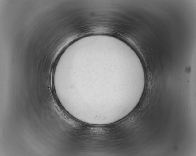 X0000111951227200908241156