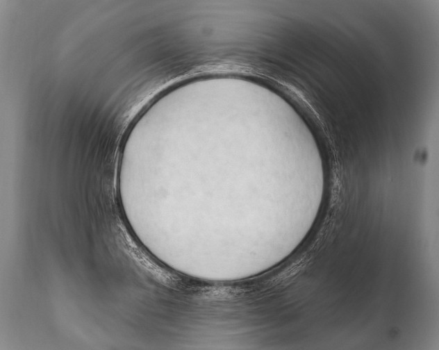 X0000111951228200908241156