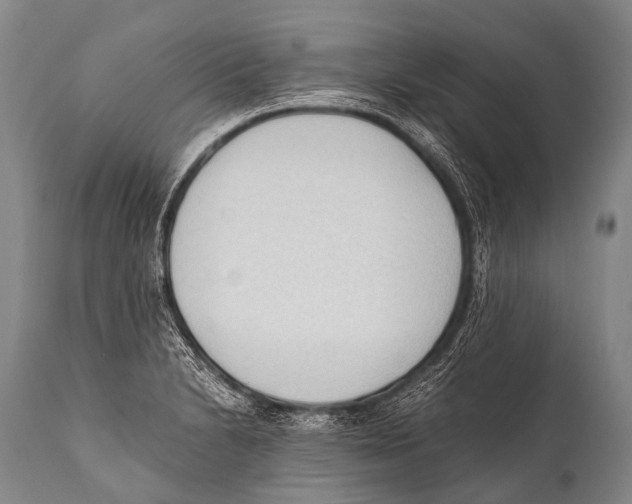 X0000111951230200908241156