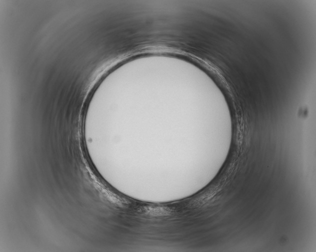 X0000111951231200908241156