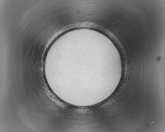 X0000111951232200908241156
