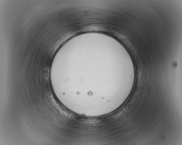 X0000111951233200908241156