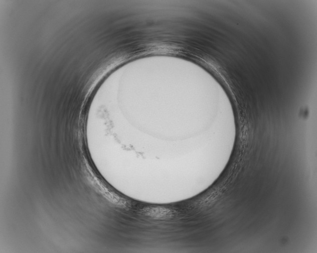 X0000111951235200908241156