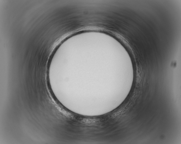 X0000111951237200908241156