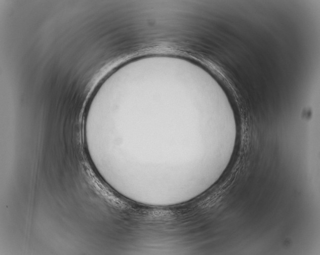 X0000111951238200908241156
