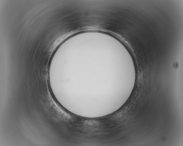 X0000111951239200908241156