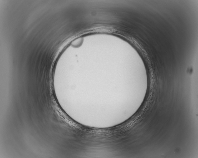 X0000111951240200908241156