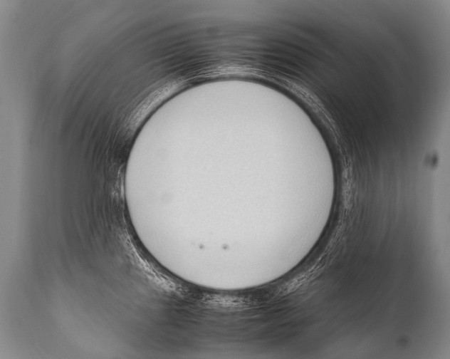 X0000111951241200908241157