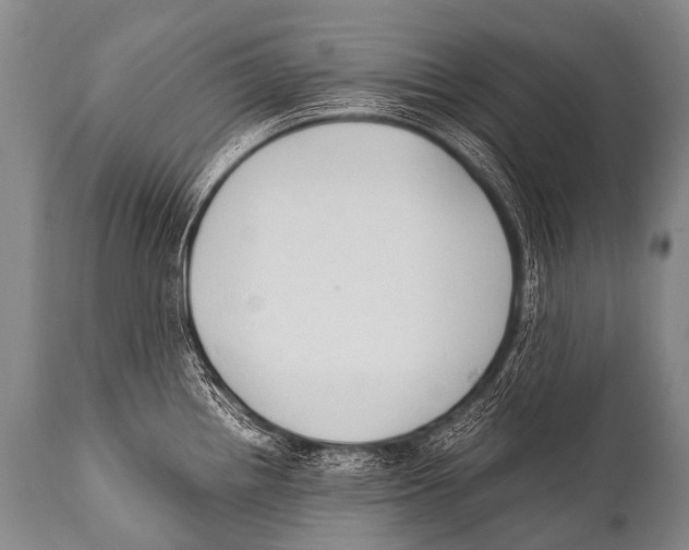 X0000111951242200908241157
