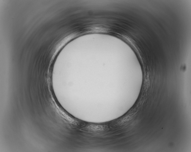 X0000111951243200908241157