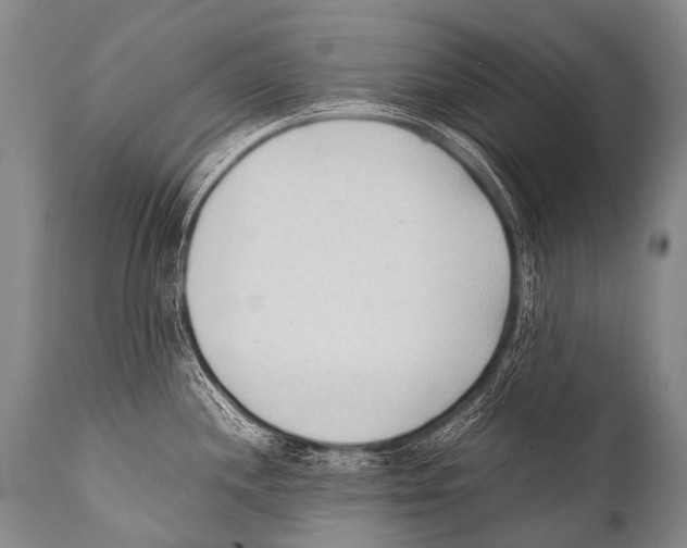 X0000111951244200908241157