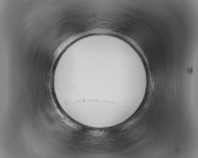 X0000111951245200908241157