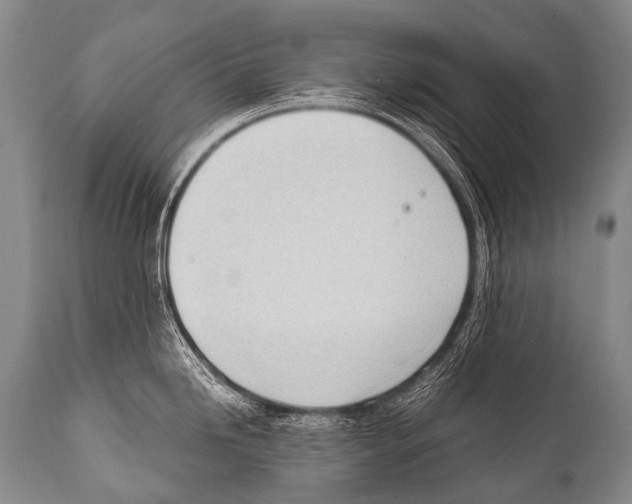 X0000111951246200908241157