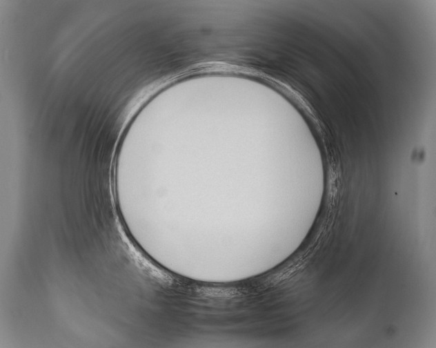 X0000111951247200908241157