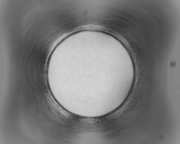 X0000111951248200908241157