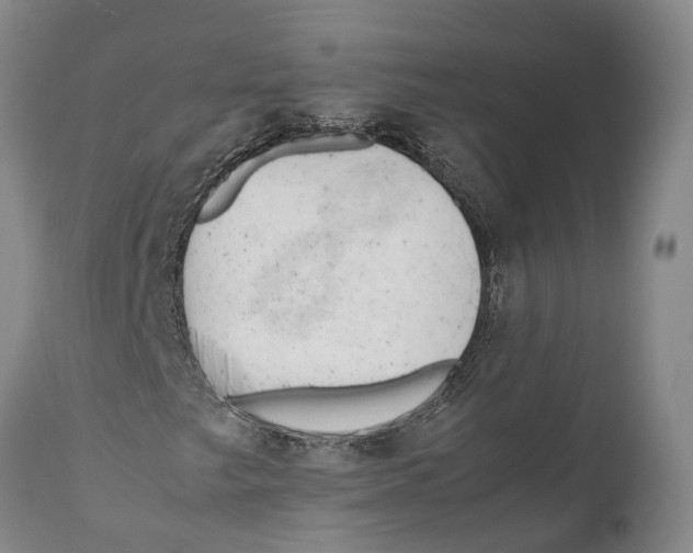 X0000111951249200908241156