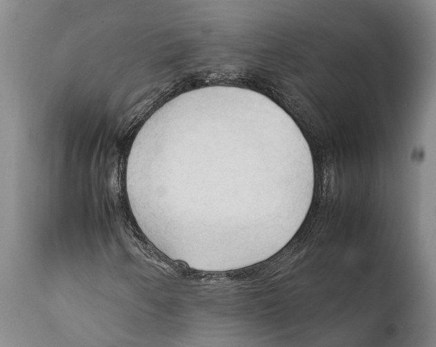 X0000111951250200908241156
