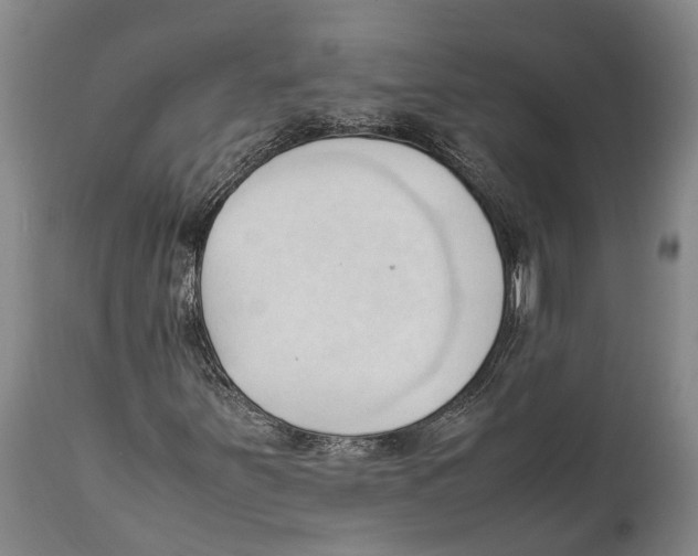 X0000111951251200908241156