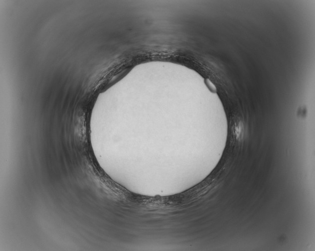 X0000111951252200908241156
