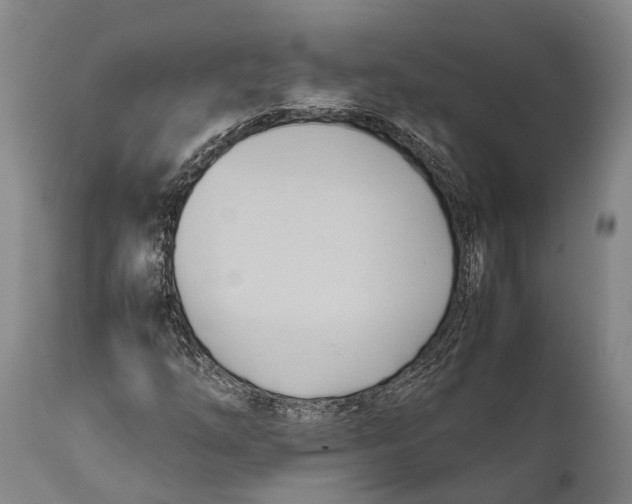 X0000111951254200908241156