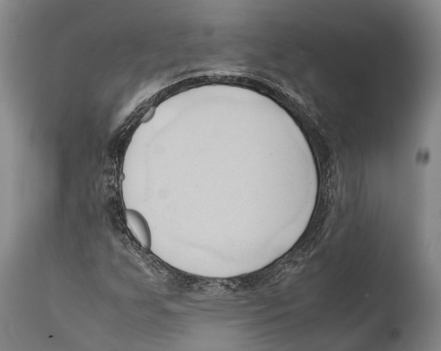 X0000111951255200908241156