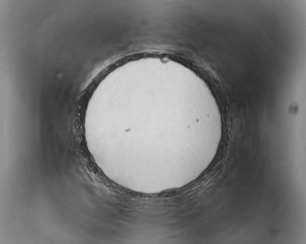 X0000111951256200908241156