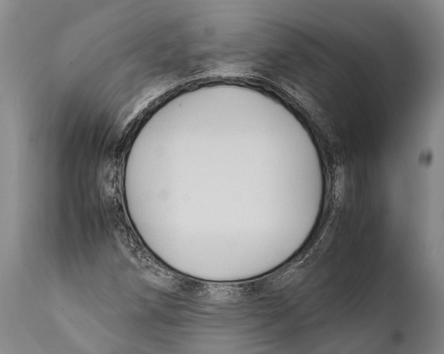 X0000111951258200908241156