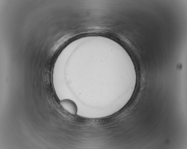 X0000111951259200908241156
