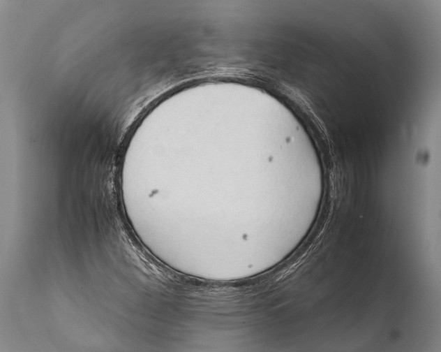 X0000111951260200908241156