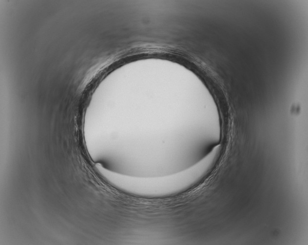 X0000111951261200908241156