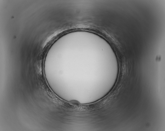 X0000111951262200908241156