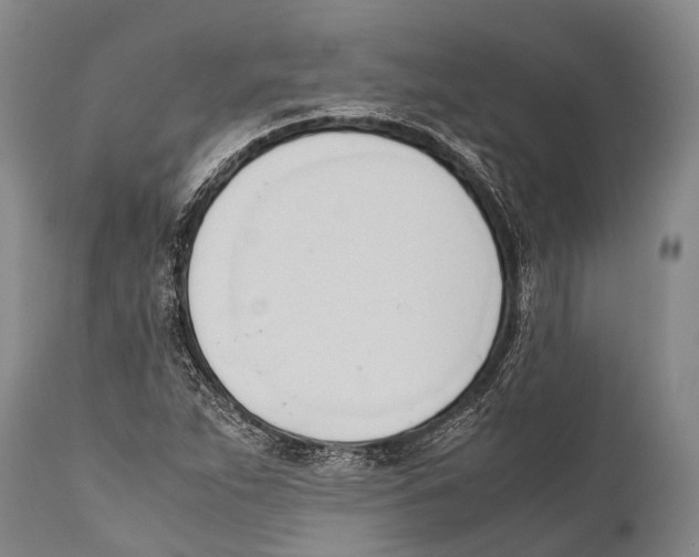 X0000111951263200908241156
