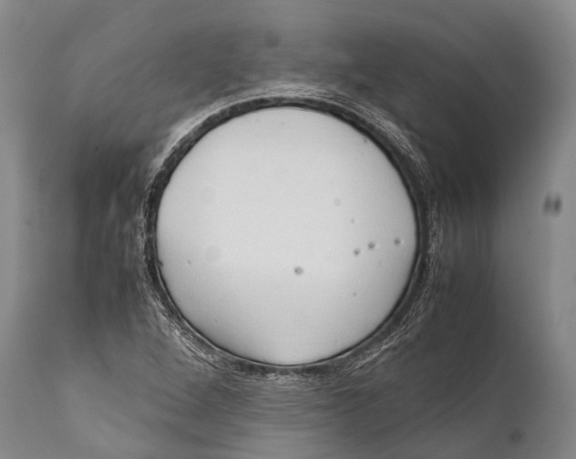X0000111951264200908241156