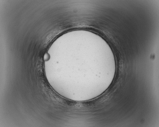 X0000111951265200908241156