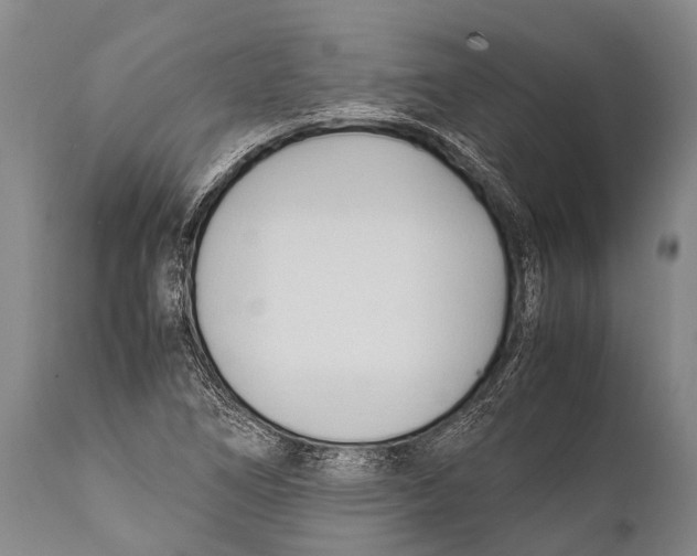 X0000111951266200908241156