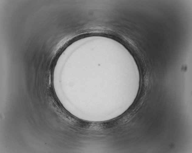 X0000111951267200908241156